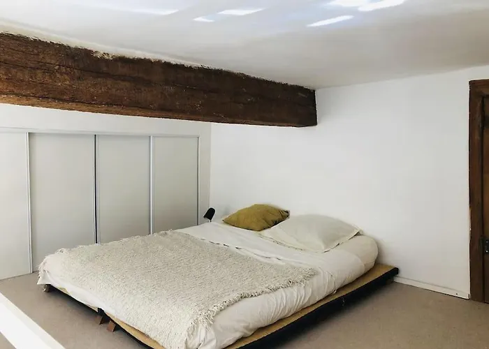 Appartement De Caractere Au Coeur Du Centre-Ville