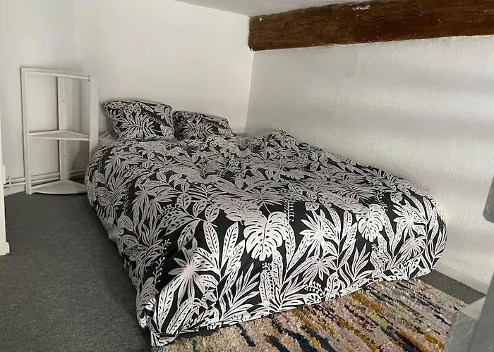 Appartement De Caractere Au Coeur Du Centre-Ville