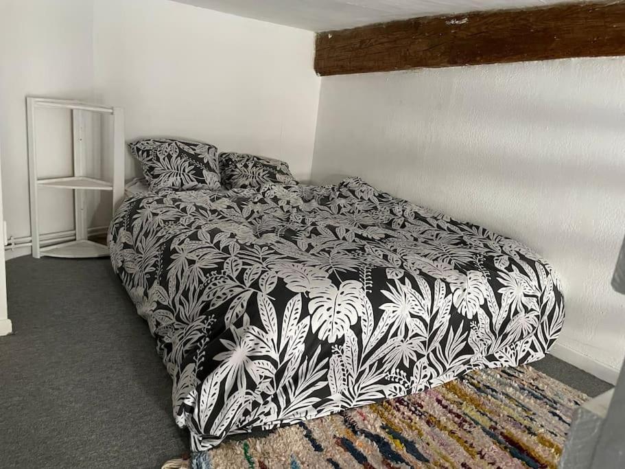De Caractere Au Coeur Du Centre-ville Apartment Montpellier